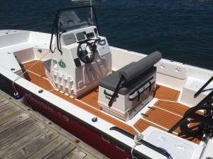 Fusion 19 with Dark teak marine mat