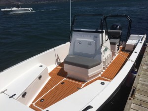 Fusion 19 with Dark teak marine mat